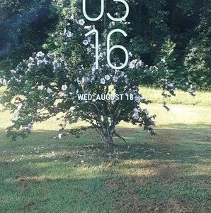 Meet your Posher, Connie